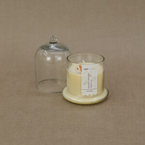 Airlit Eucalyptus Fragrance Bell Jar Candle
