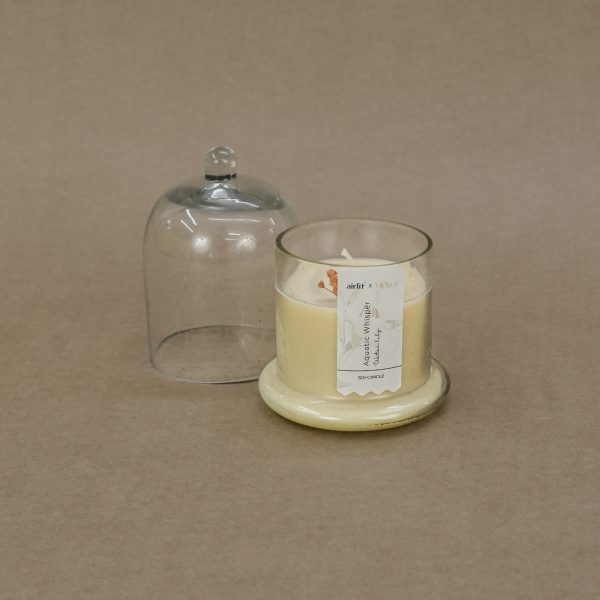 Airlit Eucalyptus Fragrance Bell Jar Candle